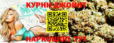 молекула духа Шелехов